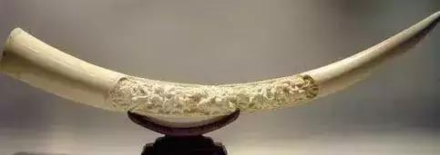 二代合成猛犸牙（说说文玩各种“牙”）