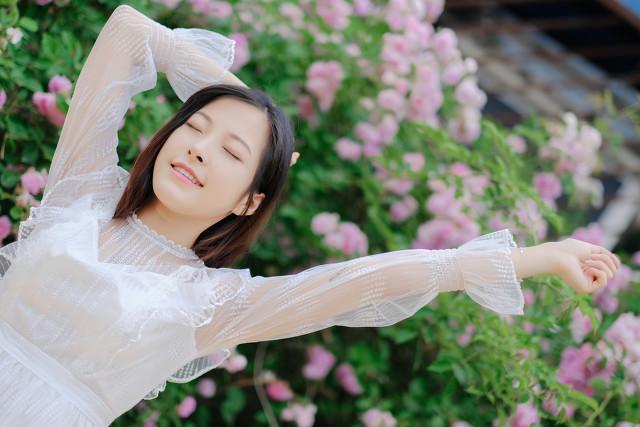 红颜薄命夏荷,不可言喻的美 - 玉三网