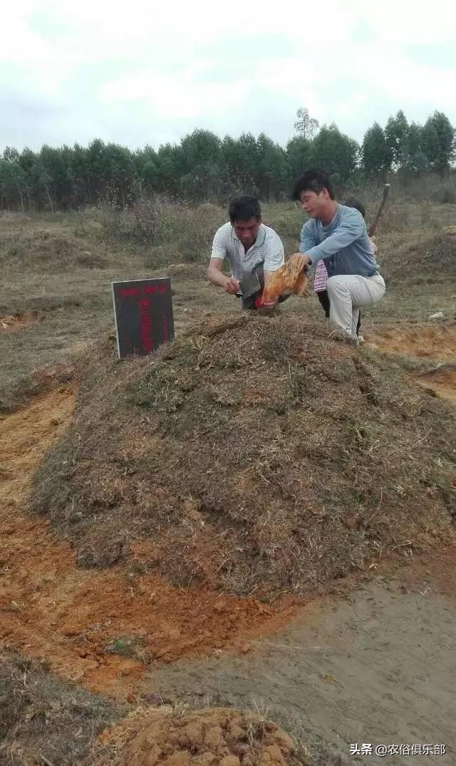 节哀顺便是什么意思，节哀顺变是什么意思节（可以用心理学解释为什么）