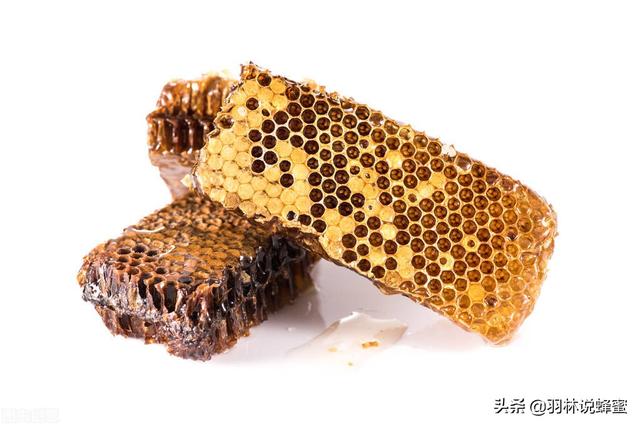 蜂巢是怎么形成的，蜂巢蜜里面嚼不烂的是什么东西（老蜂农为你讲解黑色蜂巢）