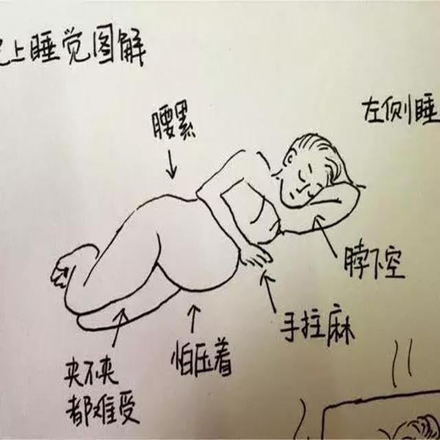 左侧躺为什么胎动更加明显，胎动为什么晚上很活跃（孕妈妈左侧卧睡）