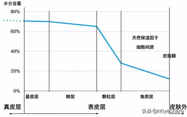 皮肤水油失衡，皮肤水油失衡怎么改善（外油内干”的有道理吗）