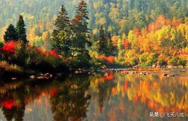 南京景点介绍，南京一日游必去景点推荐（南京九个不得不去的小众景点）