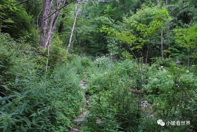 牡丹江有什么好玩的地方，敦化有什么好玩的地方（牡丹江柴河小九寨）