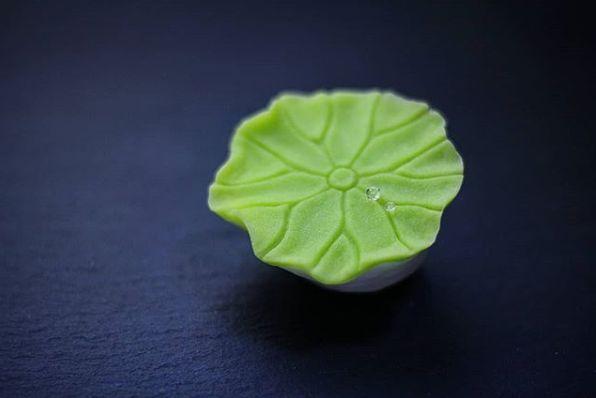 日本和果子的制作方法，日本食玩果子制作视频（日本匠人做出这么美的“和果子”）