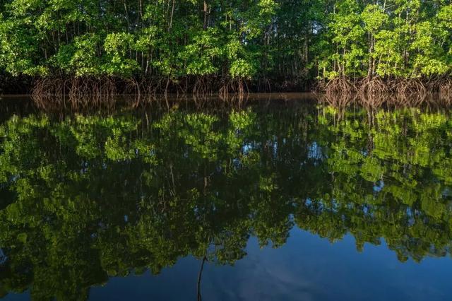 仙本那是哪个国家，仙本那 民族（这里有份攻略请收藏）