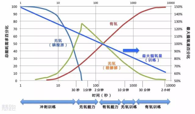 无氧运动的特点，什么是无氧运动（无氧运动和有氧运动有何区别）