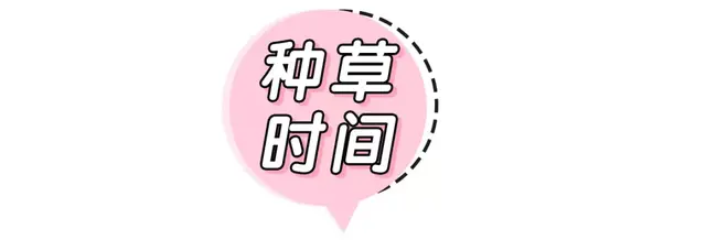 半年抛是什么意思，隐形眼镜半年抛是什么意思（千万不要这样戴美瞳）