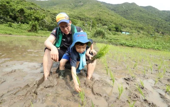 优财富（5招教你培养孩子的独立性）