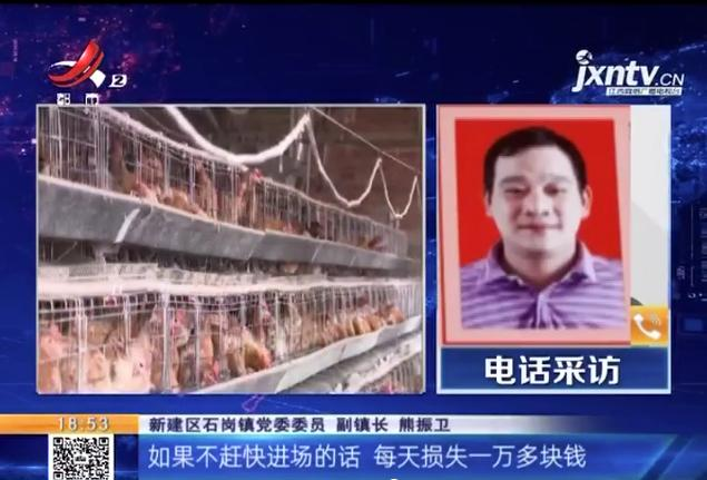 养鸡场投资多少钱，养1000只鸡需投资多少（男子投资200万元的养鸡场）