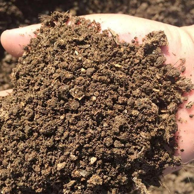花肥料，这三种足够用了（长寿花用什么肥料最好）