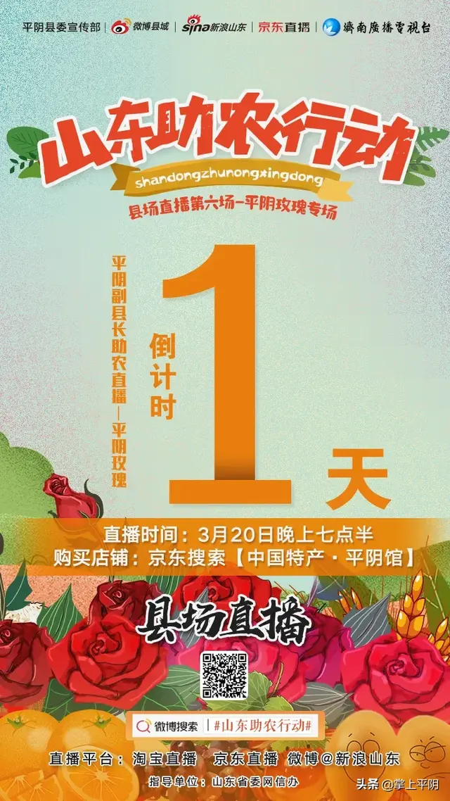 家乡好物聚划算平阴玫瑰专场来袭，平阴玫瑰金（玫瑰之都平阴副县长带货直播。其实你真的不懂平阴玫瑰）