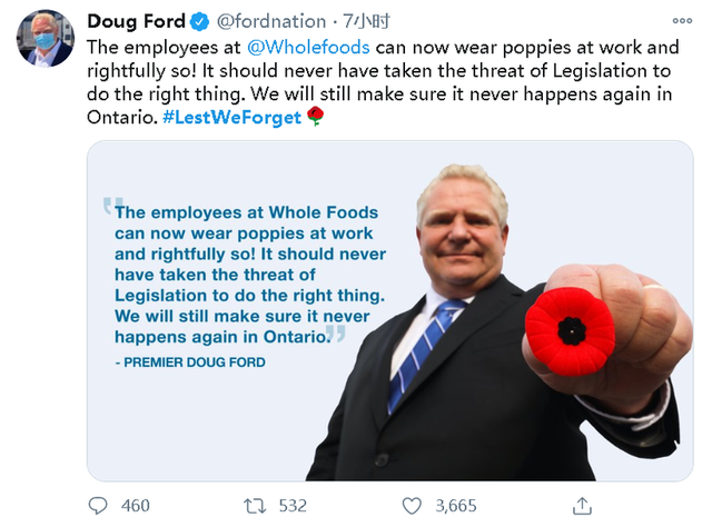 Poppies(罂粟花)网名，Poppies(罂粟花)（禁戴罂粟花纪念亡灵）