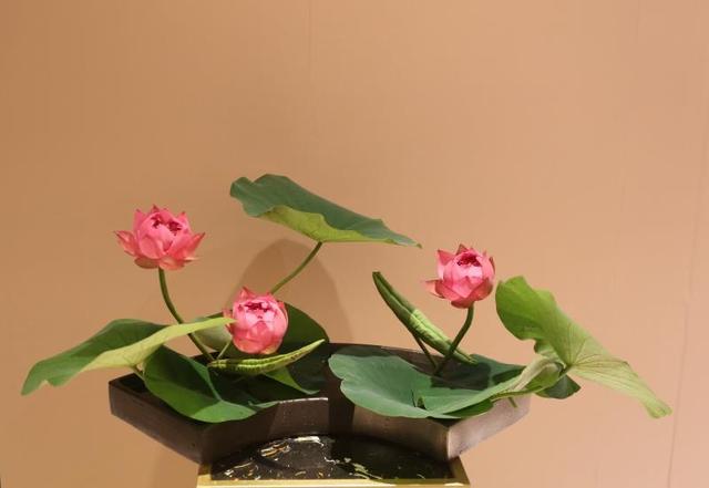 佛前供花一般几支，供佛最怕三种水果（荷花<莲花>佛前供花）