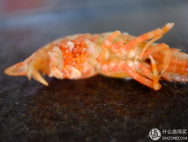 虾有多少品种，淡水虾有哪些品种（虾类双11购买攻略富山虾）