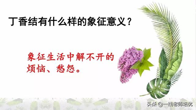 平淡无味的意思，清淡无味的意思（部编版六年级上册第2课《丁香结》重点知识点+图文解读）