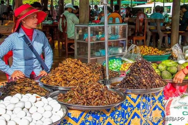 cambodia是哪个国家，cambodia是哪个国家货币2000（这是我的最新简历）
