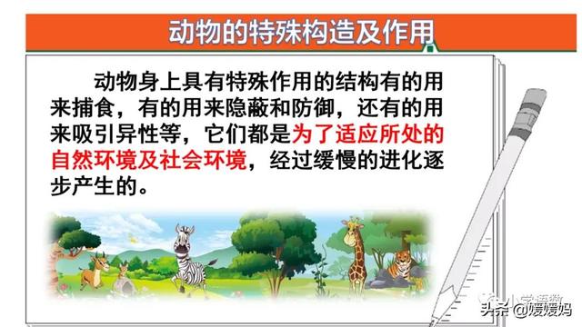 慢慢拼音怎么读，慢慢拼音（二年级下册语文课文19《大象的耳朵》图文详解及同步练习）