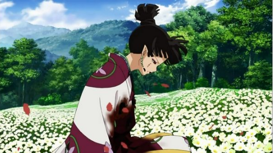 白色桔梗花花语是什么，白色桔梗花花语是什么意思（桔梗的花语已经注定了她的命运）