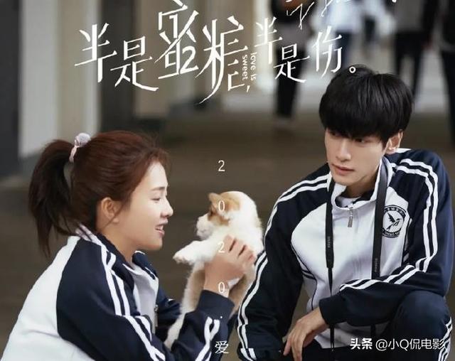 白鹿演过的电视剧，方逸伦演过哪些电视剧（关键要看合作的男主是谁）