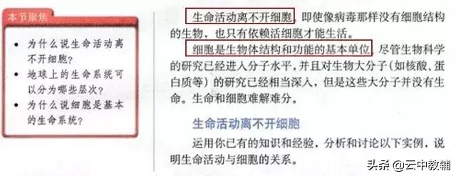 大肠杆菌菌落特征，大肠杆菌培养（一位高中生物老师分享对生物的理解）