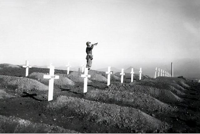 什么桥下没水，什么桥下没水立交桥打一生肖（美军空投桥梁修复水门桥）