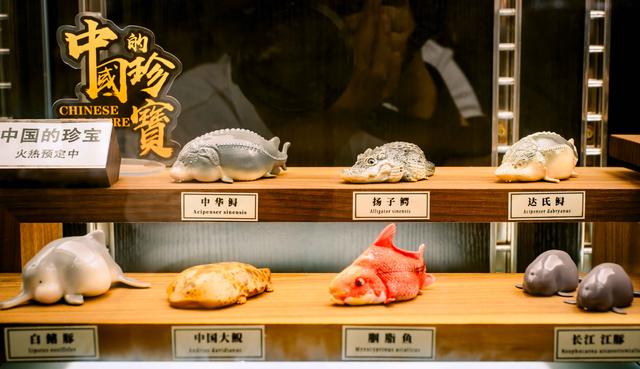 wanimal是什么，wannimal（闲逛魔都——Black）