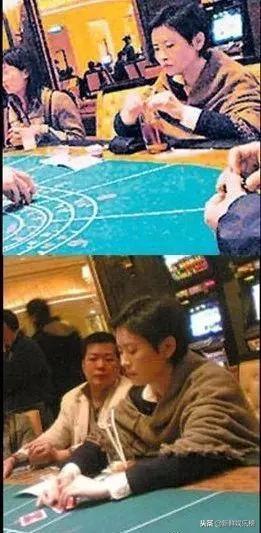 蓝洁瑛到底发生过什么，蓝洁瑛到底发生过什么事情（蓝洁瑛发疯背后原因比想象中更复杂）