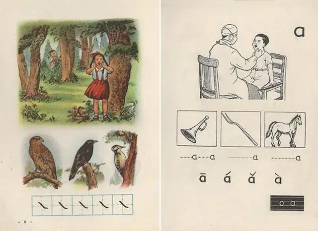 扫除的拼音，扫除的拼音是什么（从消灭汉字到汉语拼音的诞生）