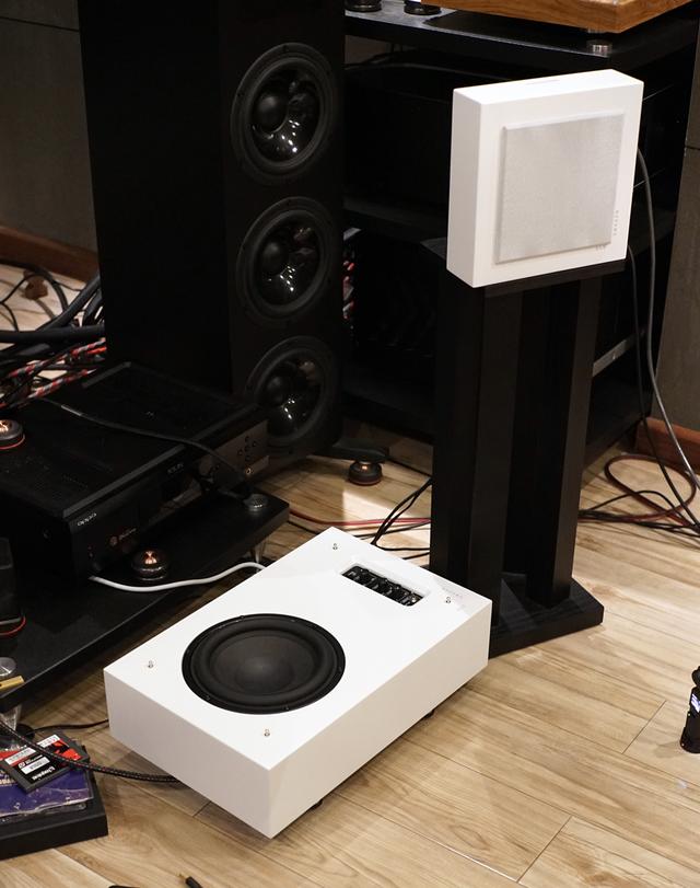 dls是什么意思，Flatmini