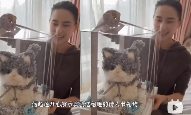 窦骁何超莲分手原因，何超莲窦骁分手是真的吗（其实人家的恩爱都藏在细节里）