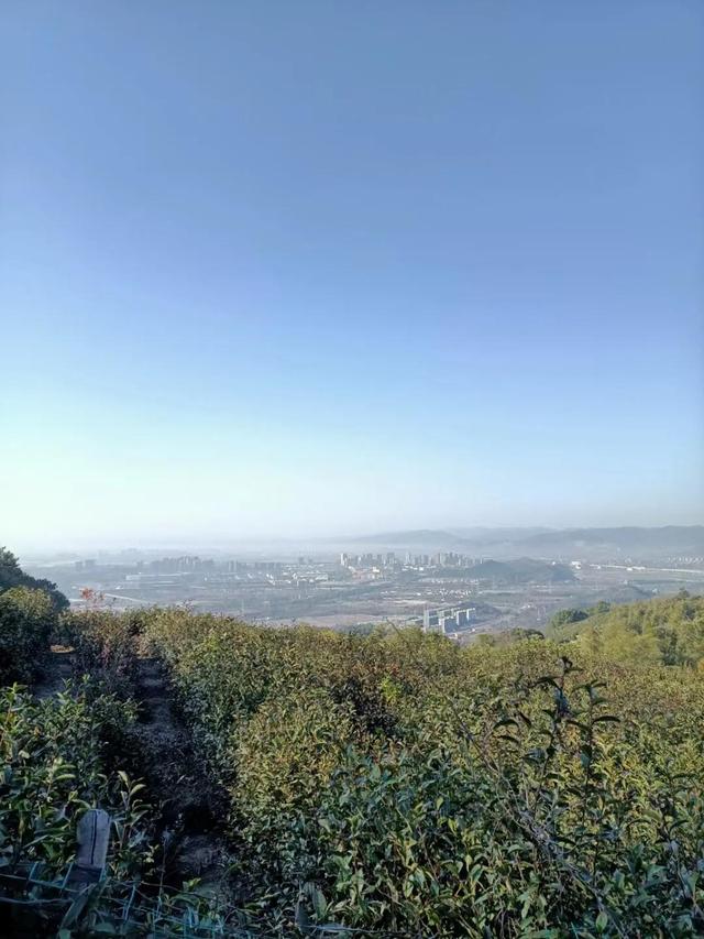 每天坚持爬山的好处，每天坚持爬山对身体好不好（经常爬山会给你带来什么样的变化）