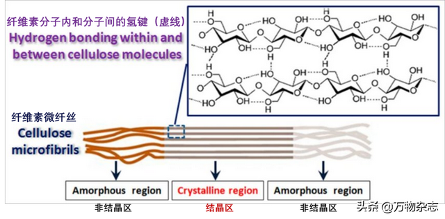 桑蚕丝衣服容易皱怎么办，桑蚕丝衣服真的不要买（衣服为什么动不动就皱巴巴）