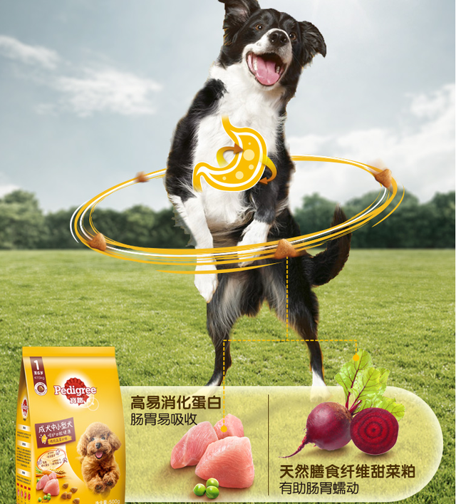 宝路狗粮怎么样，宝路狗粮怎么样 知乎（宝路狗粮怎么样？到底好不好）