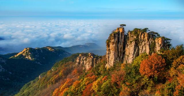满山红叶似彩霞，阿宝歌曲大全（山东最全赏红叶地图来了）