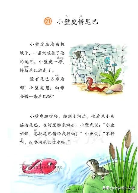 小壁虎借尾巴告诉我们什么道理，小壁虎借尾巴故事主要讲了什么（一下第二十一课《小壁虎借尾巴》教材解析）
