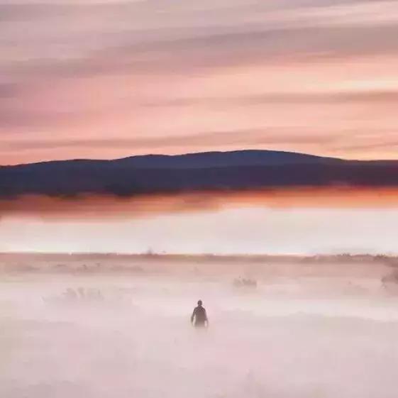 情人的定义，情人的定义是什么意思（什么是情人）