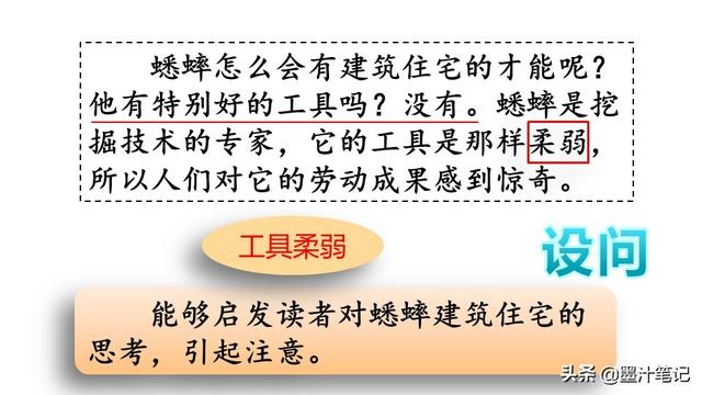 蟋蟀的住宅指的是什么，蟋蟀的住宅 是指什么（第三单元《蟋蟀的住宅》课文讲析）
