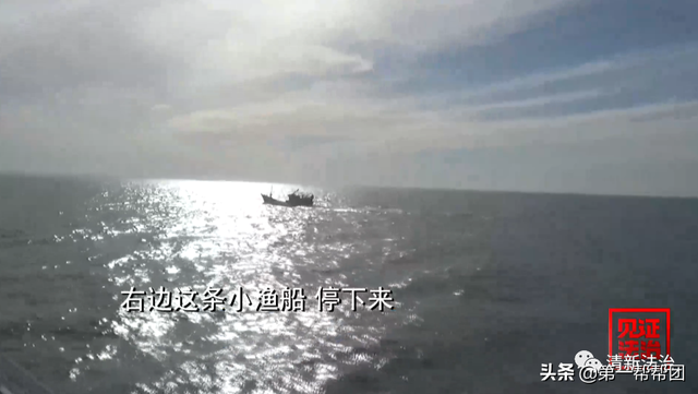 鲎是保护动物吗，鲎是保护动物吗为啥（休渔期非法捕捞国家保护动物中华鲎）