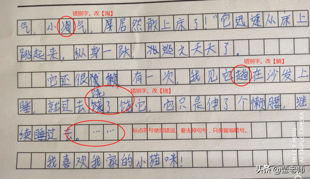 猫的外貌描写，猫的外貌描写100字左右（应邀点评作文/我家的小猫咪）
