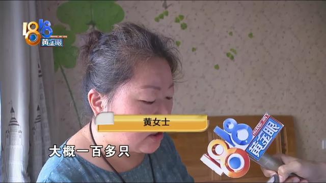 家里很干净为什么有苍蝇，家里经常有苍蝇（“外环境”需要改善）
