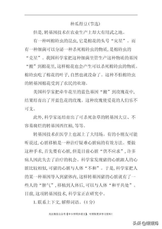 诞的读音与解释，诞的读音与解释是什么（部编版六年级下册语文第五单元知识点归纳附每课一练及单元测试卷）