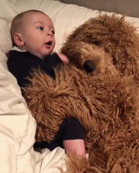 泰迪熊抱抱熊，一出生就有三个巨型“泰迪熊”陪睡（泰迪熊抱抱熊适合结婚送么）