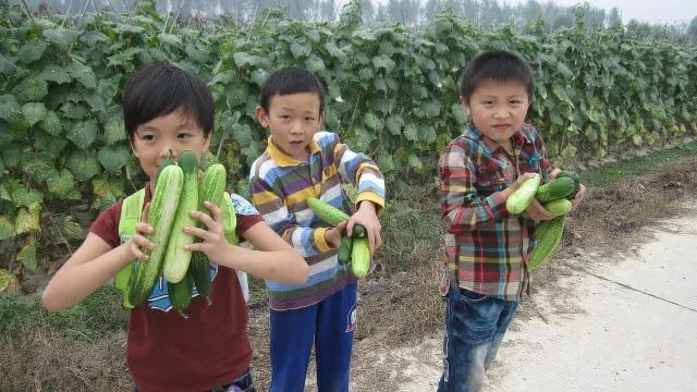 白墙黛瓦的意思，白墙黛瓦被誉武汉小婺源