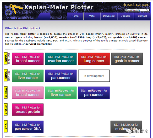 excel左右拉条不见了，excel的左右滚动条不见了（单基因泛癌免疫分析）