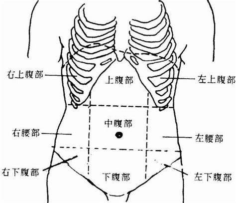 劍突,就是指兩側肋骨下緣在胸部正中間交界處