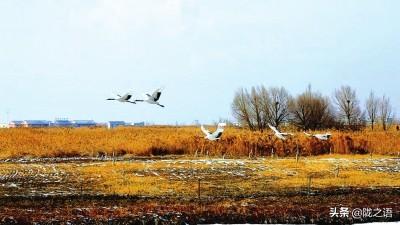 大西北是哪里，哪些地方属于大西北（在大西北有一个赛江南的地方叫张掖）