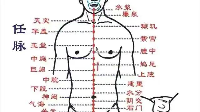 任督二脉是什么，什么是任督二脉（任脉—运行气血小周天）