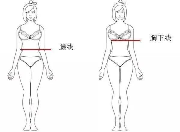 胸大背宽显瘦，胸大腰粗上身丰满