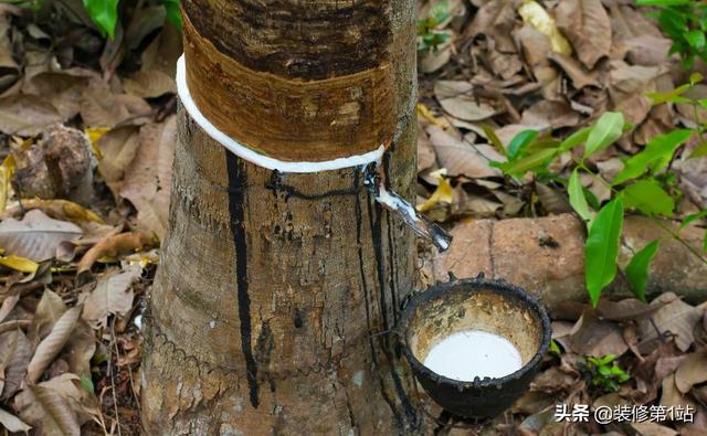 乳胶枕头怎么辨别真假，怎么分辨乳胶枕真假（100%乳胶含量的乳胶枕）